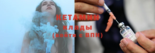прущие грибы Пестово