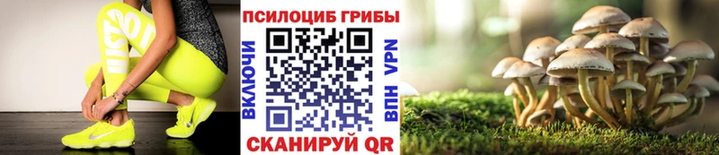 МЕГА зеркало  купить   Пролетарск  Галлюциногенные грибы мухоморы 